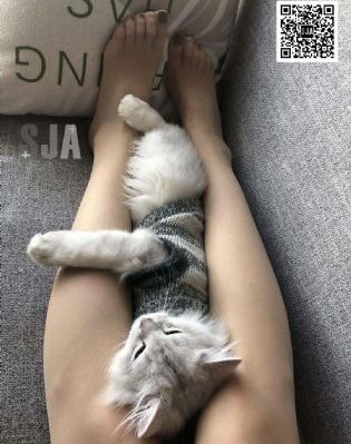 国偷自产在线观看视频_高清免费观看最新