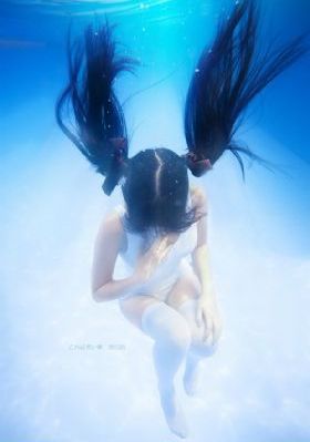 黑郁金香_DVD在线手机播放