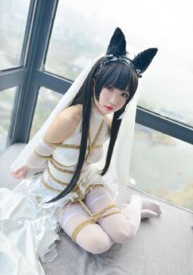 天天综合网永久入口91免费版_BD国语神马影院在线