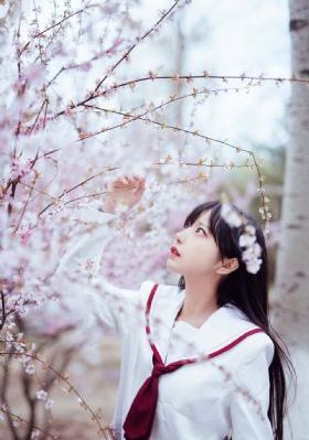 美日韩xxx_高清免费观看